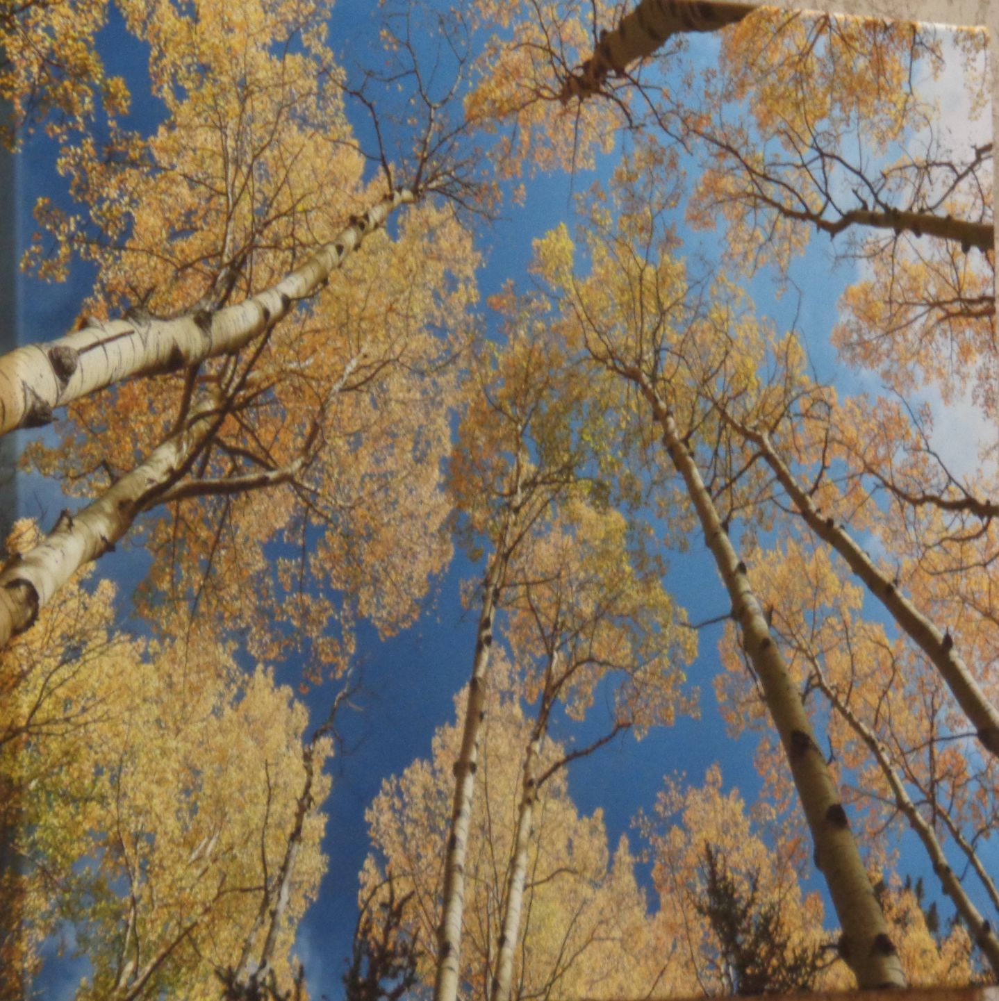 Rick Perkins' photographs